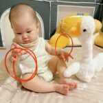 晨曦小兔｜柔和大地遊戲墊