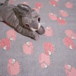 數羊夢境｜療癒系防護生理墊