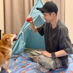 萌犬汪汪集合｜活力天藍寵物防水保潔墊