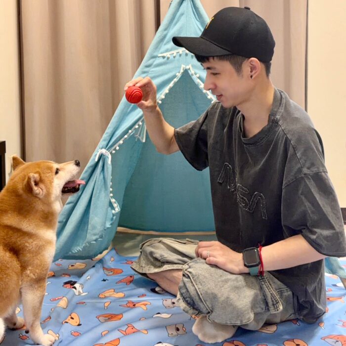 萌犬汪汪集合｜活力天藍寵物防水保潔墊